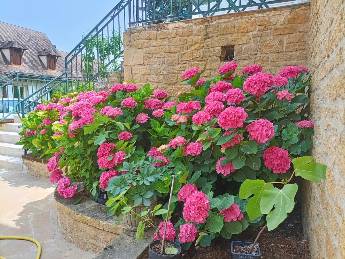 La Villa Perigourdine Sarlat-la-Caneda Bagian luar foto